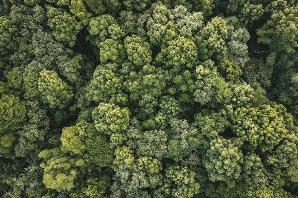 Concevez Votre Escape Game à la Maison : Une Aventure Immersive à Portée de Main